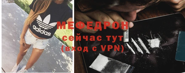 шишки Заволжье