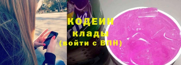 шишки Заволжье