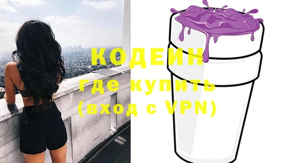 шишки Заволжье