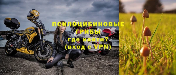 шишки Заволжье