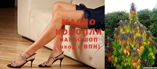 шишки Заволжье