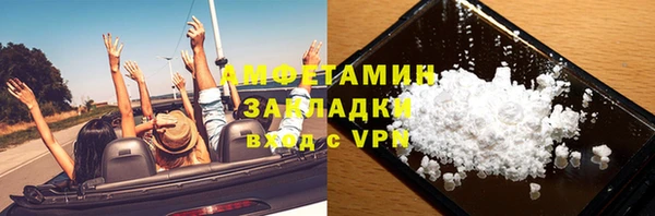 шишки Заволжье