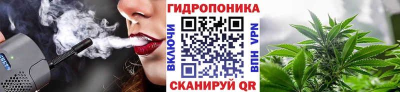 Шишки марихуана планчик Полесск